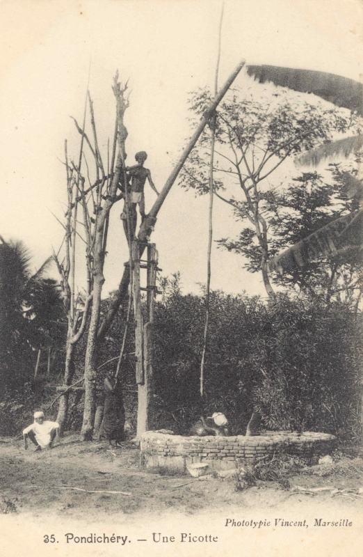 13-21 - Pondichery - picotte (puits) - 2